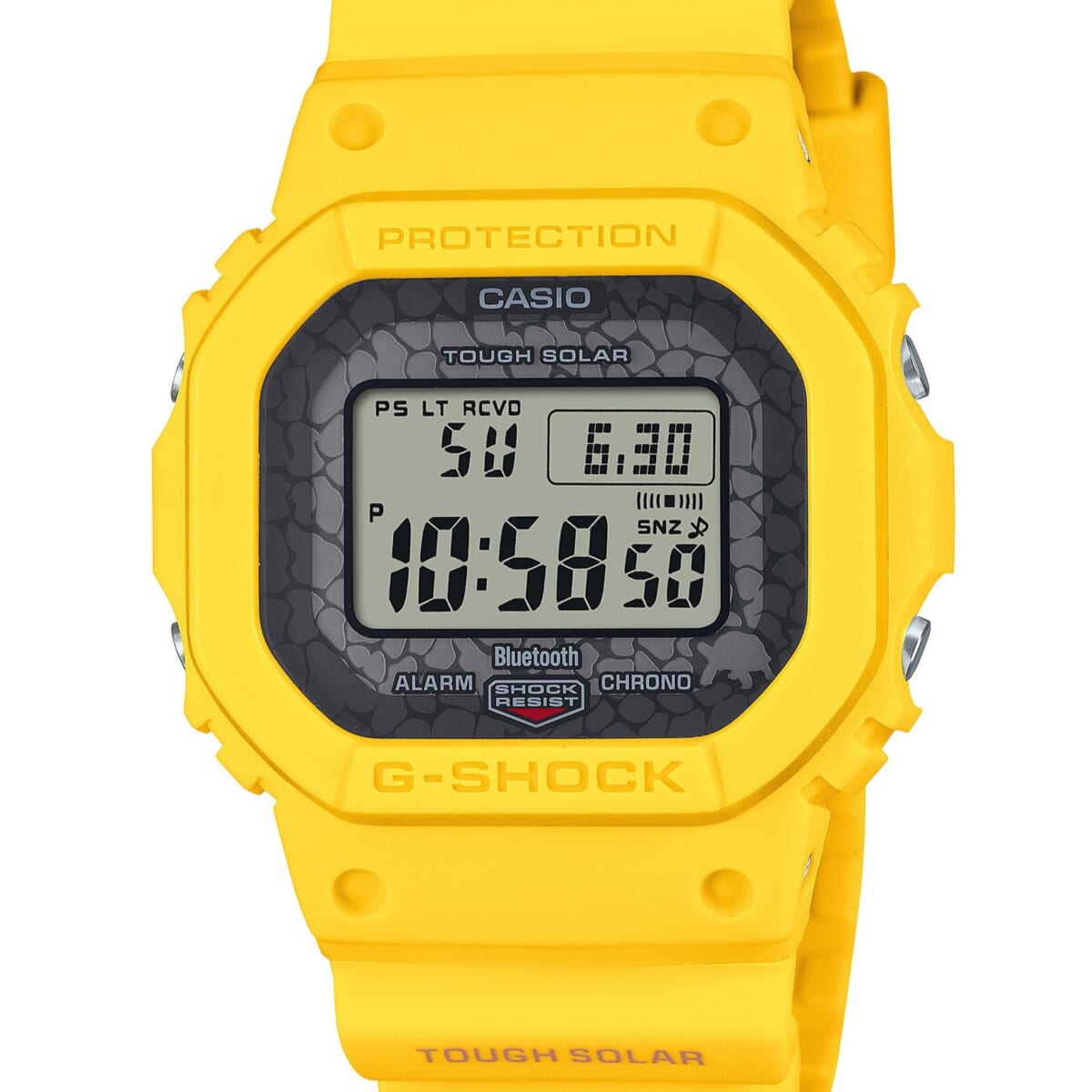 ガラパゴス諸島に生息する生物がモチーフ 環境にやさしいエコ素材を