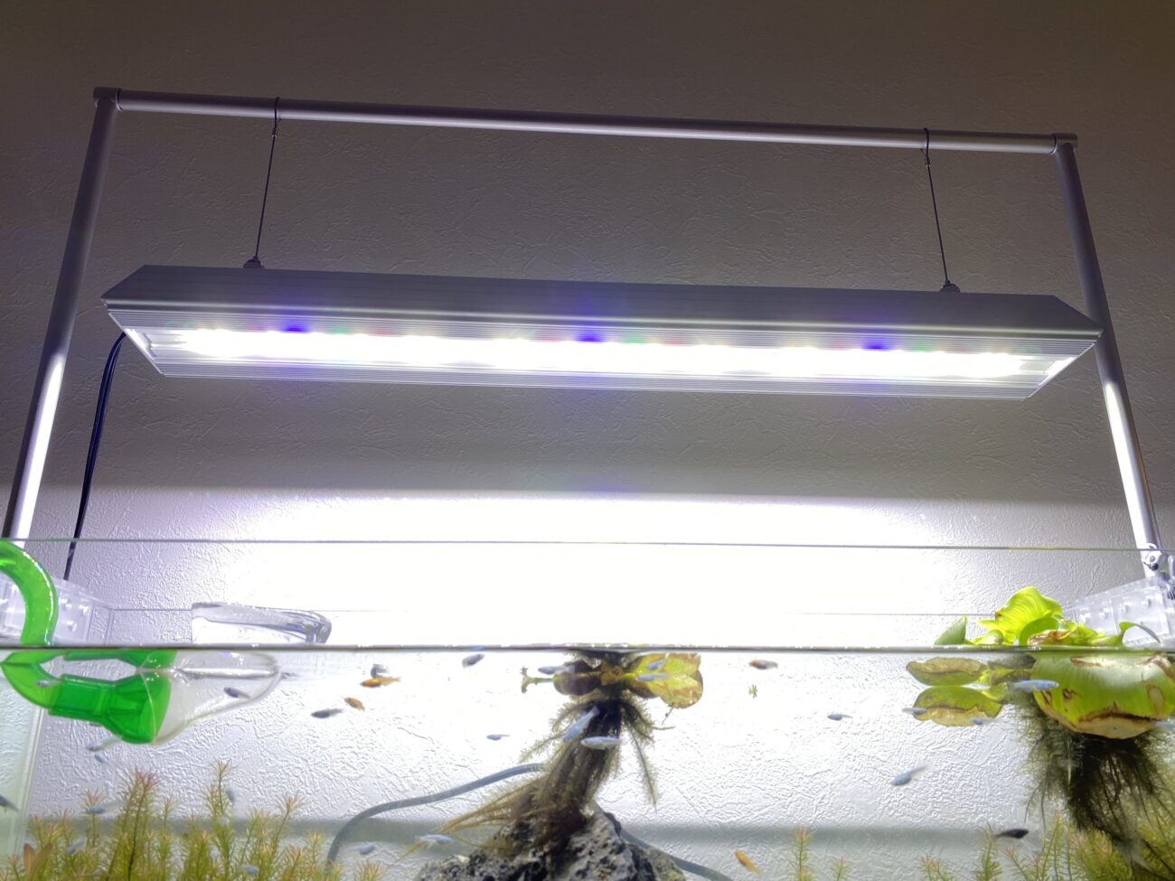 安価で高性能なLEDライト「アクロ トライアングルグロウ」を導入