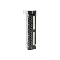 Eaton Tripp Lite Series Cat5e Wall-Mount 12-Port Patch Panel