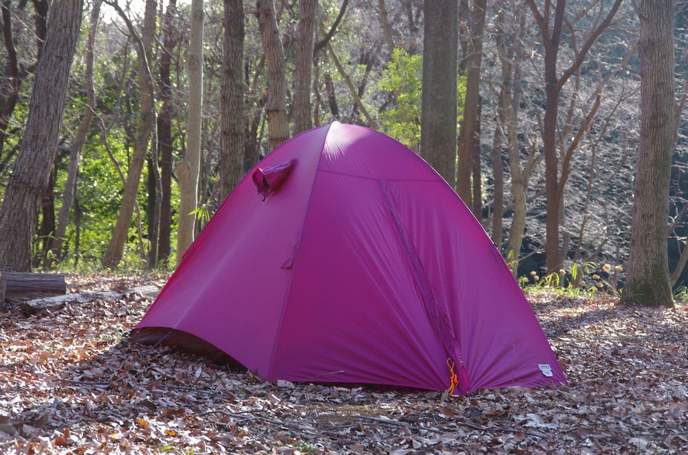 WILD-1別注】 アライテント エアライズ2 ARAI TENT: キャンプ