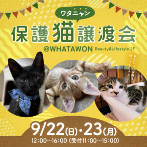 2024年9月22日23日 保護猫譲渡会♪ | WHATAWON（ワタワン）