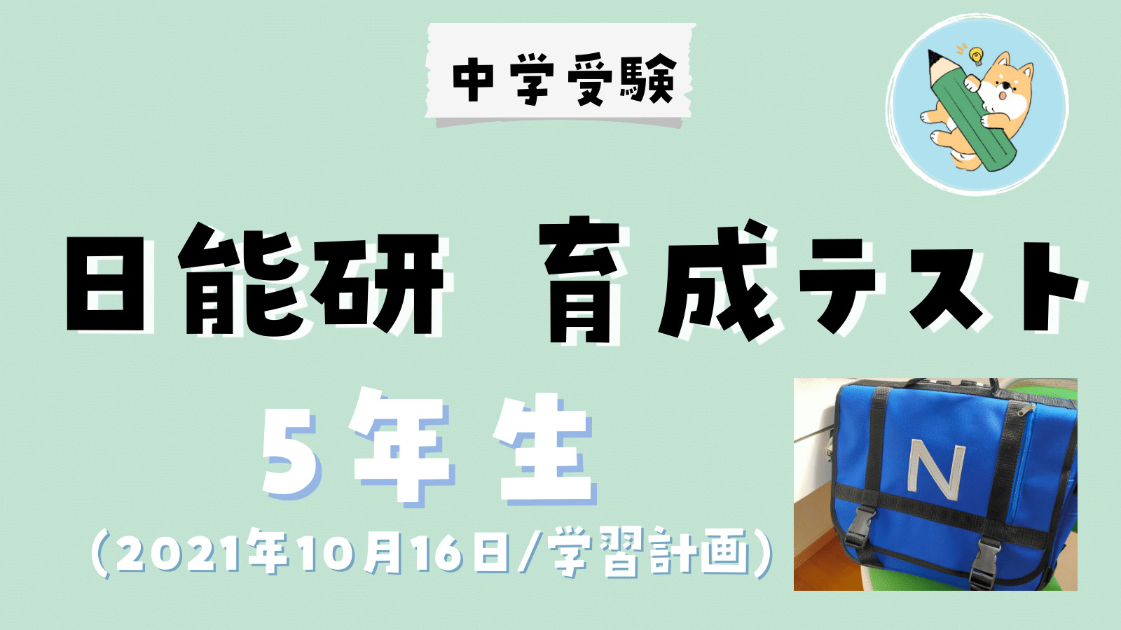 中学受験】日能研 育成テスト(10/16•小5)学習計画 | ポチたま中学受験