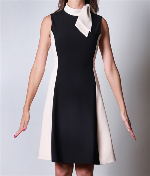 ブラックベージュサイドラインミニドレス/ERUKEI - カラードレス