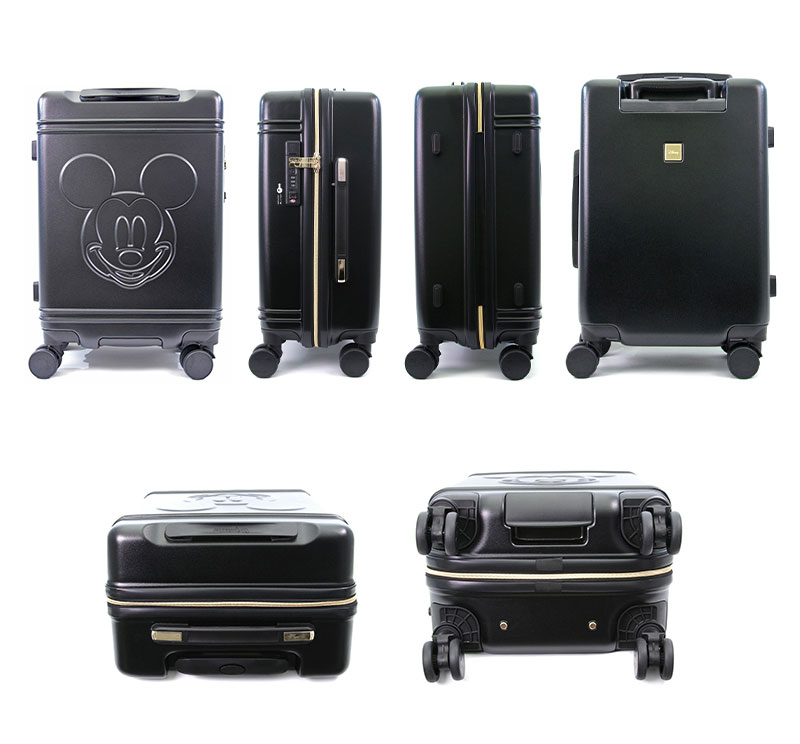 送料無料】【機内持込み】シフレ ディズニー HAP2212-48 30L Sサイズ