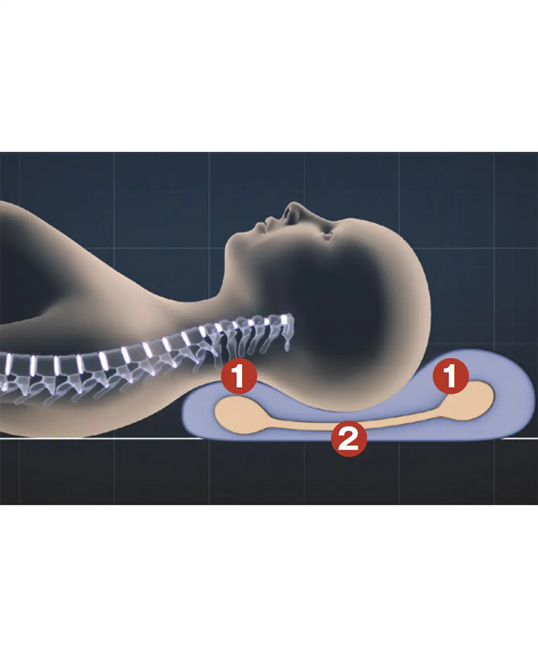 通販生活®通販生活のメディカル枕(R)｜【公式】カタログハウスの通販サイト