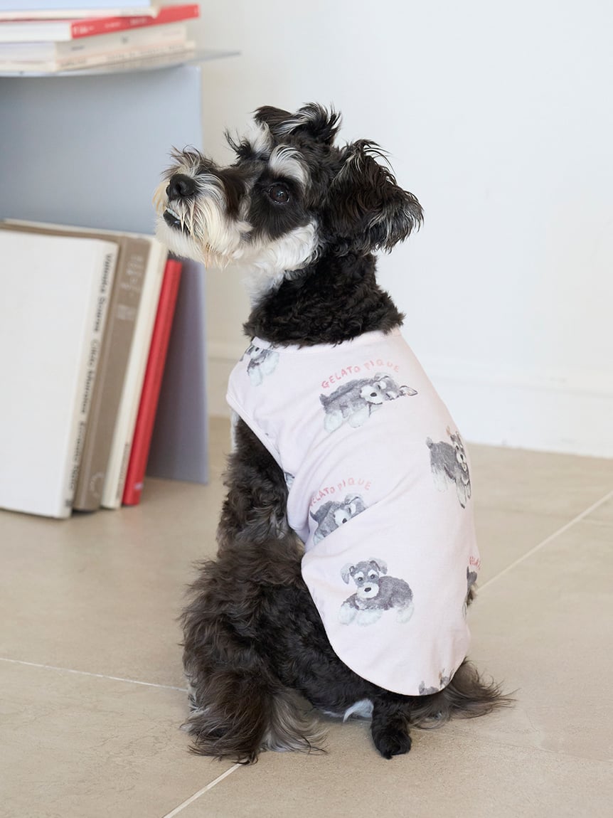 gelato pique（ジェラートピケ）【CAT&DOG】【販路限定商品