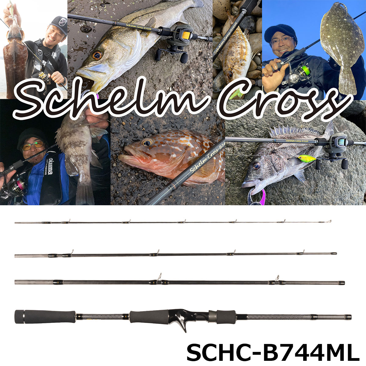 ゼニス(ZENITH) シュレム クロス(Schelm Cross) SCHC-B744ML ☆セール