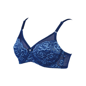 シャンデールベルピエゾメッシュブラジャーB80 シャンデール 補正下着