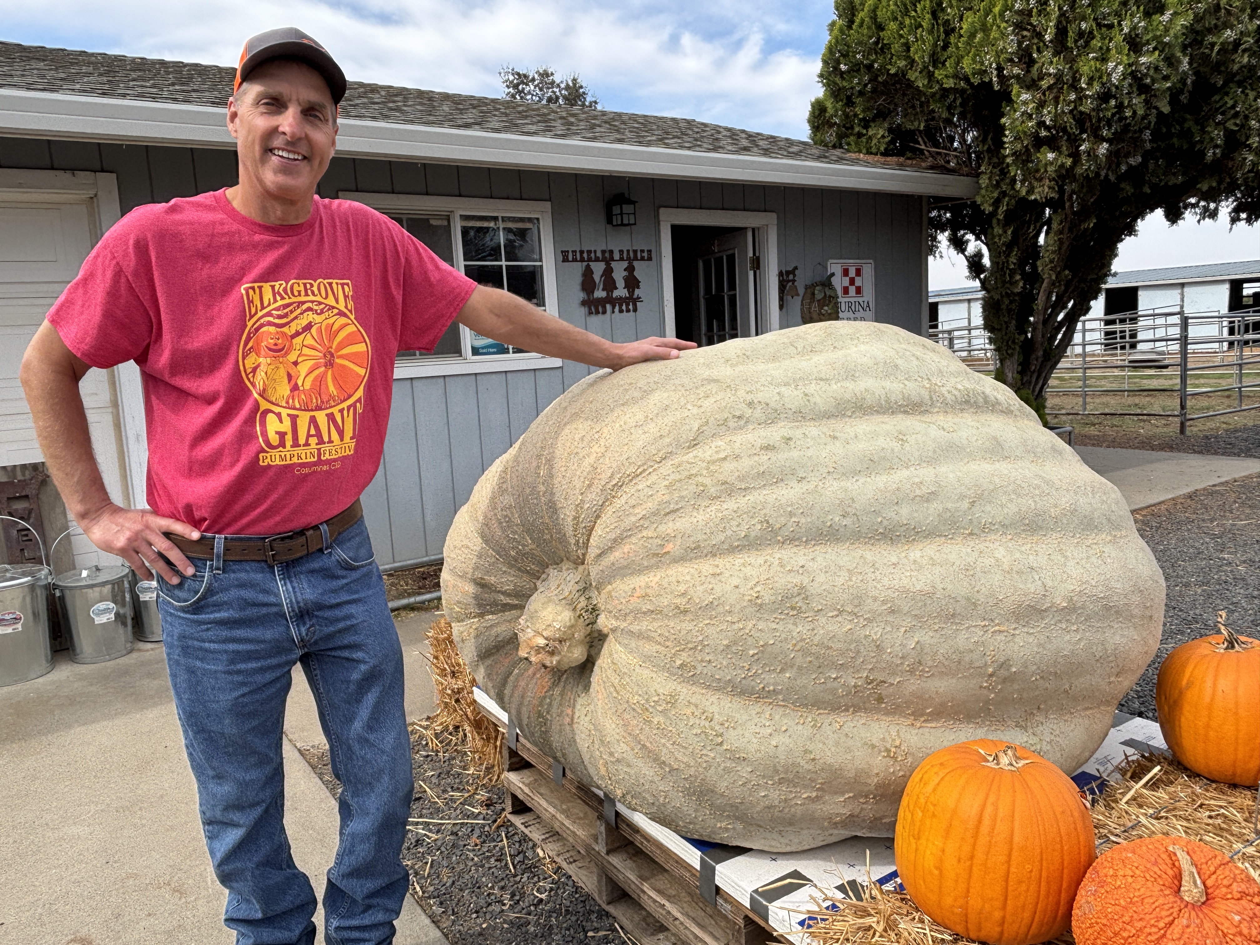 PUMPKIN-01-01.jpg?w=1200&