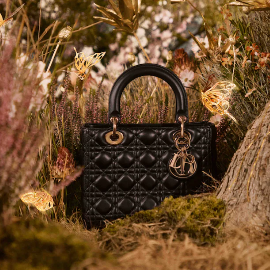 Dior Cruise 2024 Collection - CityCenterDC