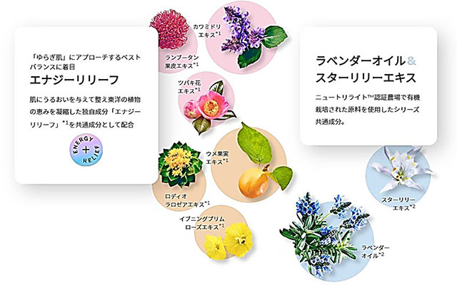 20代の肌はもっとキレイになれる。ゆらぎ知らずな映える素肌へ