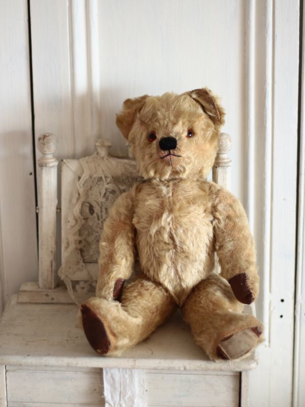 Antique toricoTte Size Cute! Chad Valley Bear /12in /British