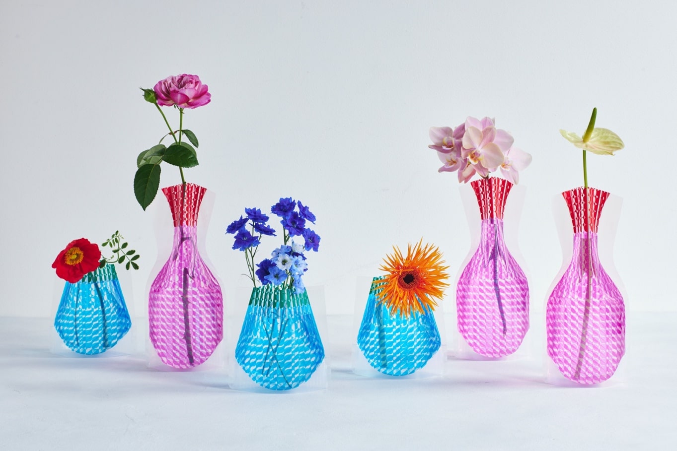 青山フラワーマーケット」×「D-BROS」からコラボアイテムが登場