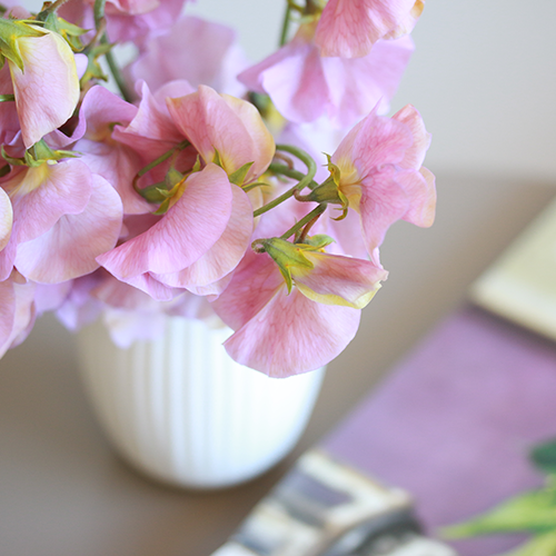 3月3日以降到着～順次発送】ノスタルジックなカラー Season Flower