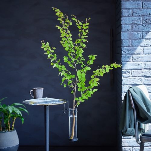 青山フラワーマーケット/EDAベースS | 青山フラワーマーケット｜花束