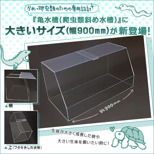 爬虫類ケージ（水槽）」に大きいサイズが登場！ | 製品情報 | アクリ屋