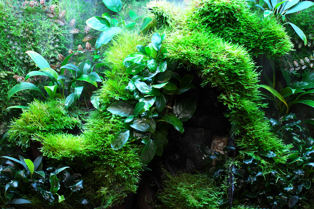 アクアスカイ RGB Ⅱ 60 - 次世代型スマート照明 | ADA - PRODUCTS