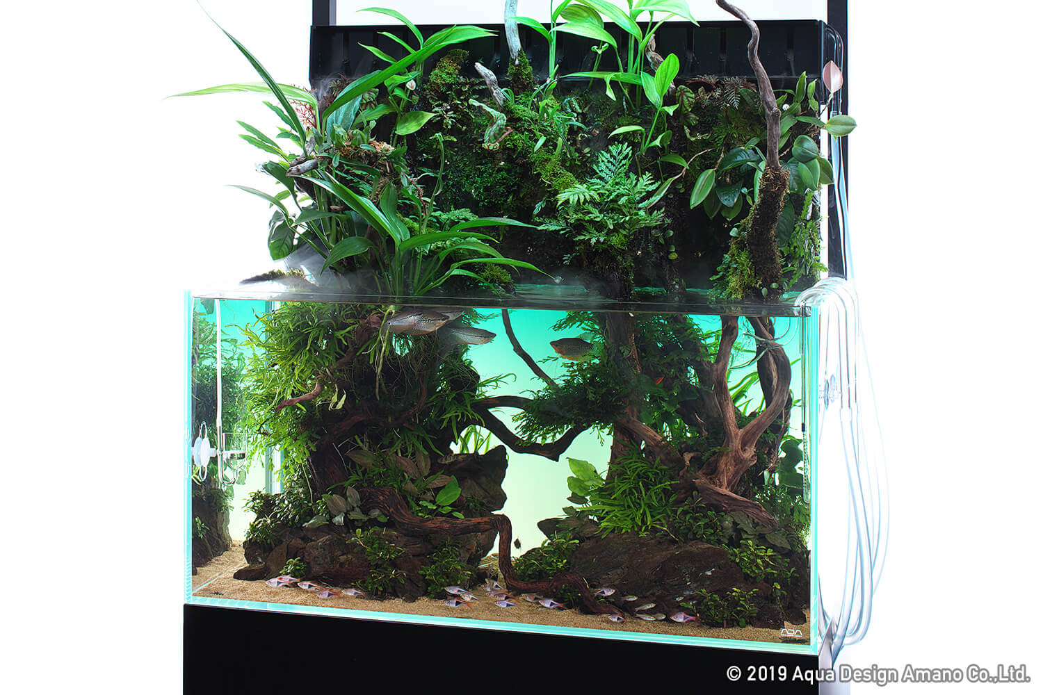 NATURE IN THE GLASS -水辺の交流- | AQUA DESIGN AMANO