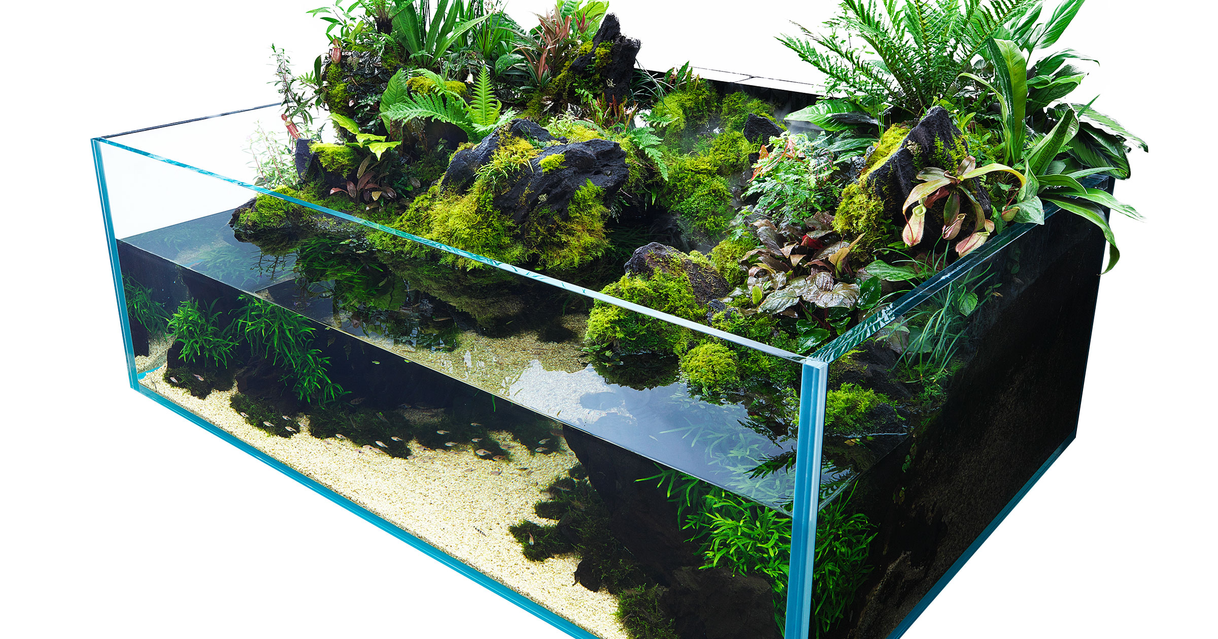 NATURE IN THE GLASS 「水はめぐる」PART 1 | AQUA DESIGN AMANO