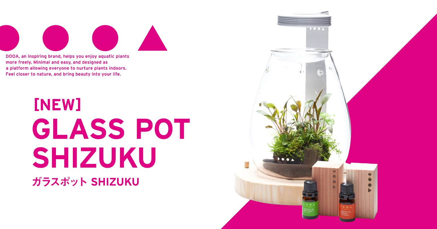 DOOA ガラスポット SHIZUKU・DOOA ウッドベース SHIZUKU 発売の