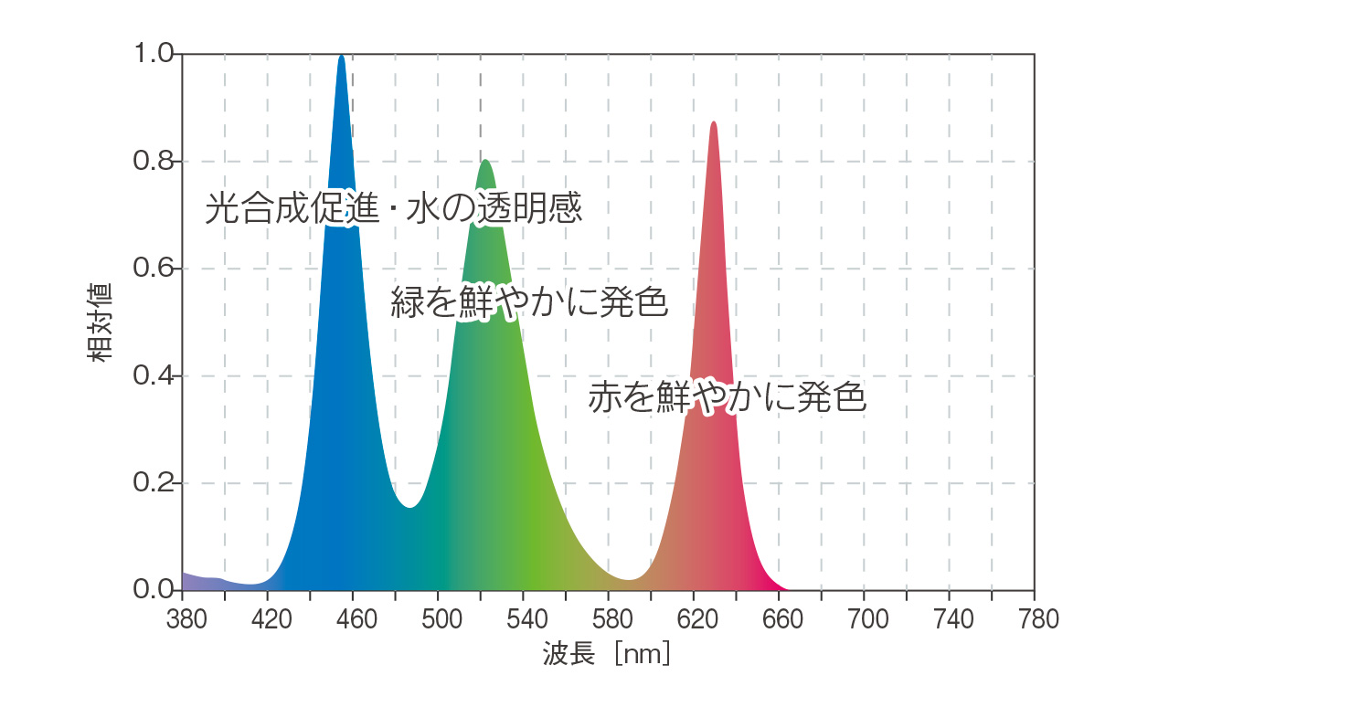 ADA RGB LED 「太陽光を超えた理想の光を探求する」 | AQUA DESIGN AMANO