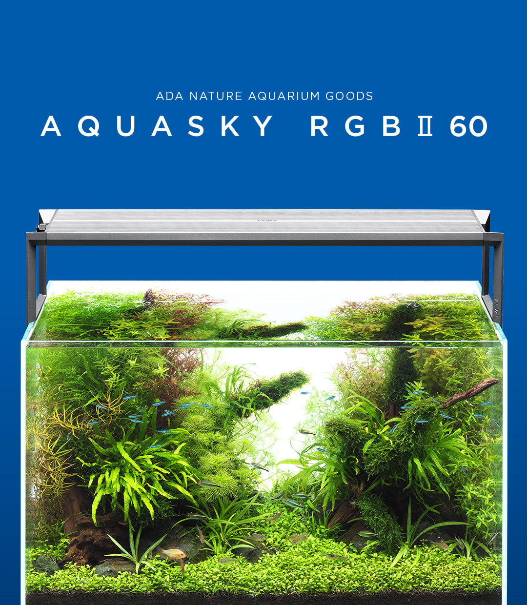 ADA PRODUCTS 進化論 「リリィパイプ・シリーズ」 | AQUA DESIGN AMANO