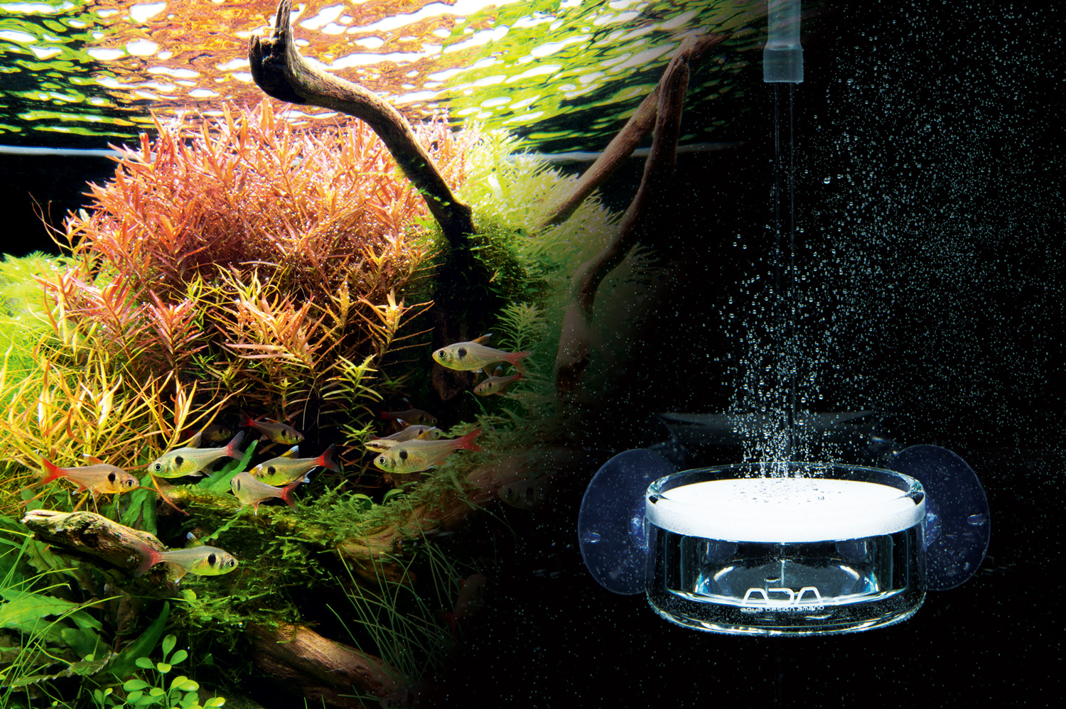 NA PRODUCTS STORY #03 'POLLEN GLASS SERIES' | en