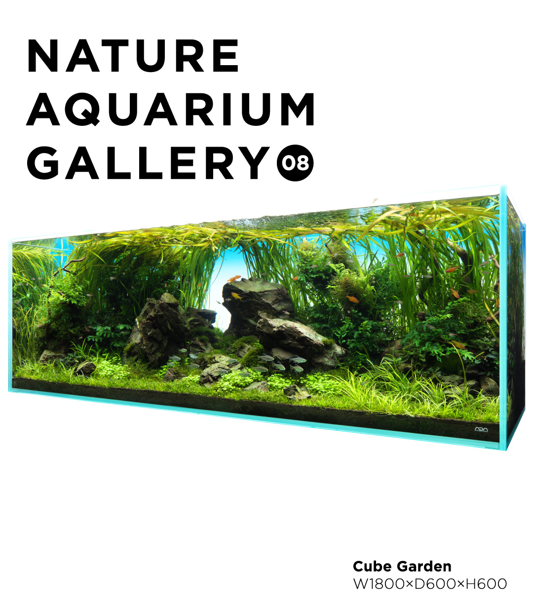 Cube Garden | ADA - PRODUCT - AQUARIUM TANK