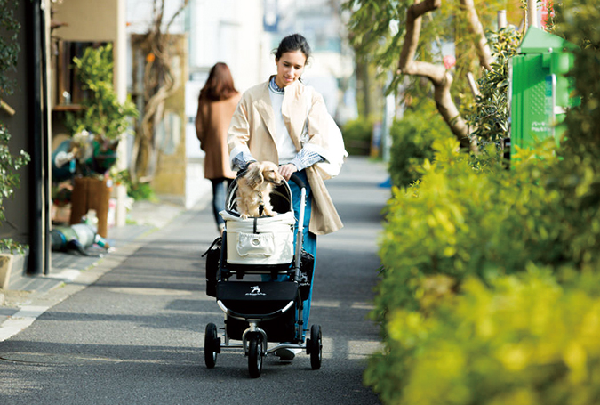 DOME2 STANDARD MODEL - AIRBUGGY FOR PET | ペットカートのエアバギー