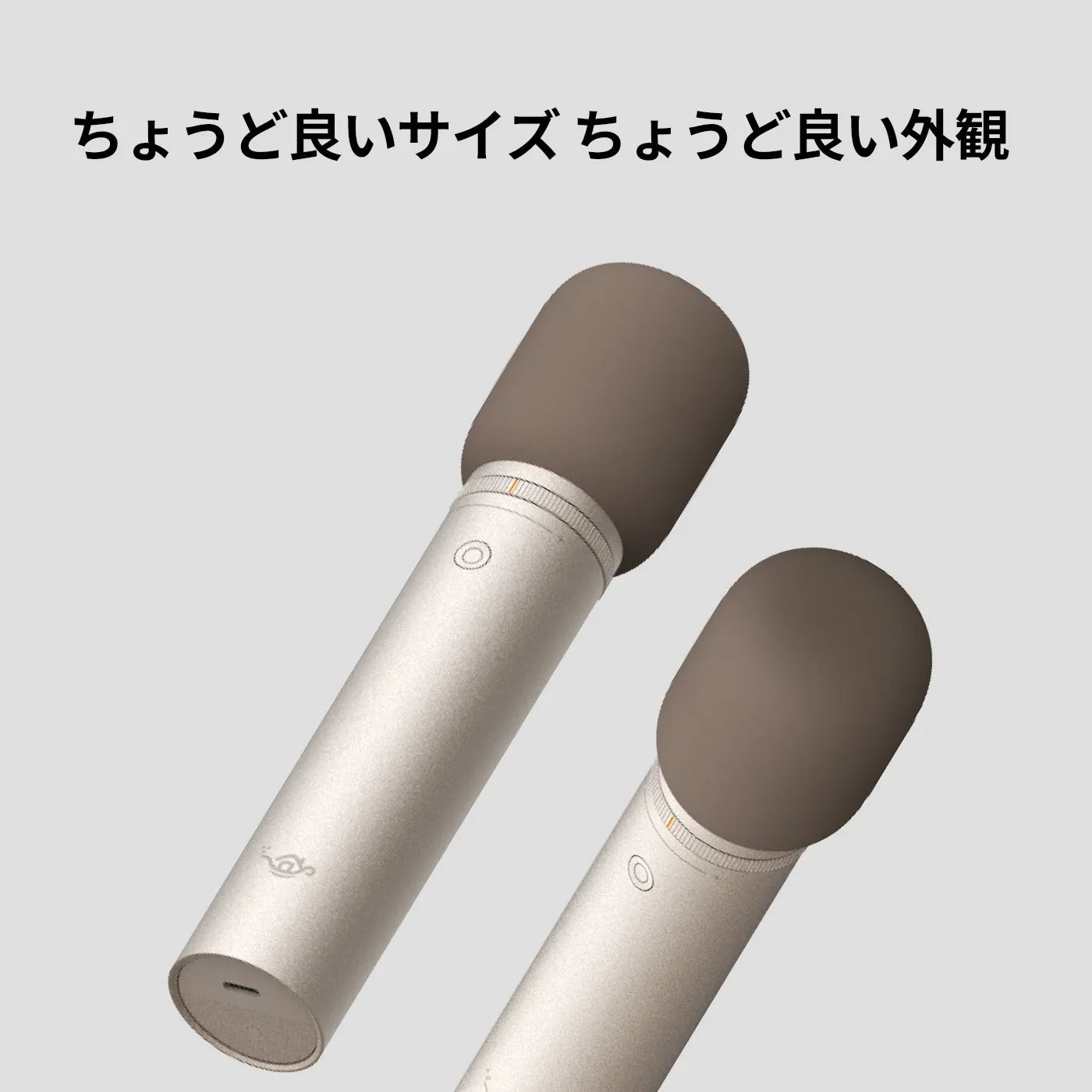 Aladdin Mic 2（アラジン マイク ツー）製品概要