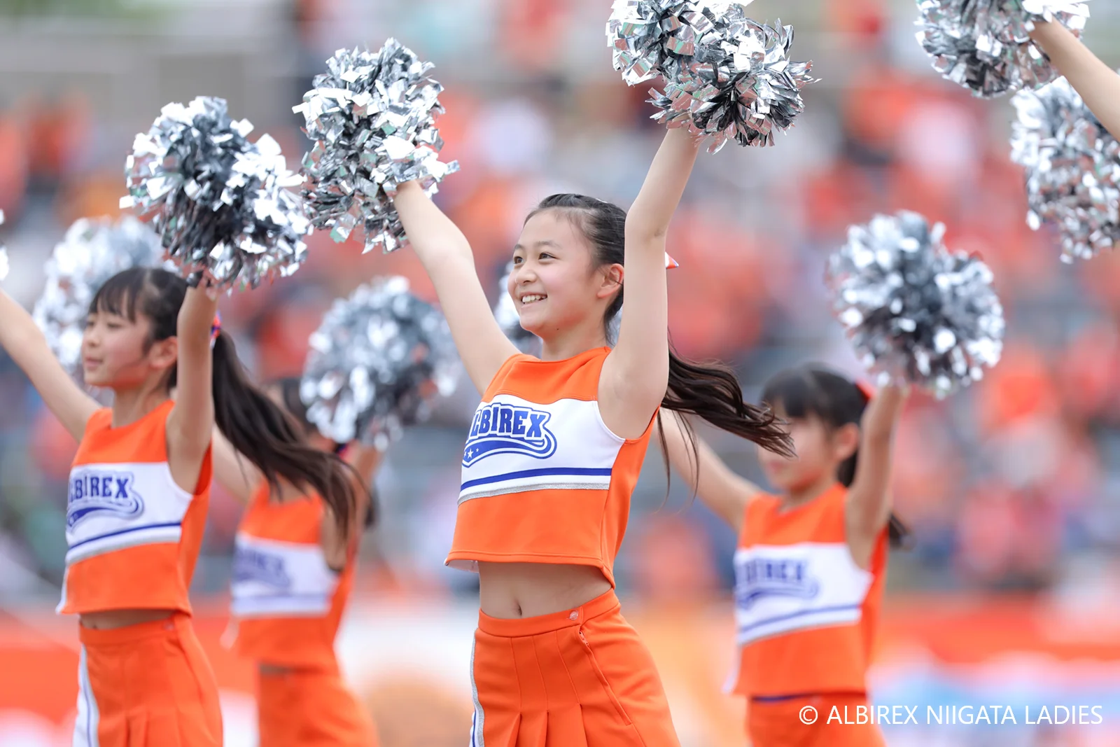 アルビレックスチアリーダーズ Official Web Site ｜ 各アルビレックス