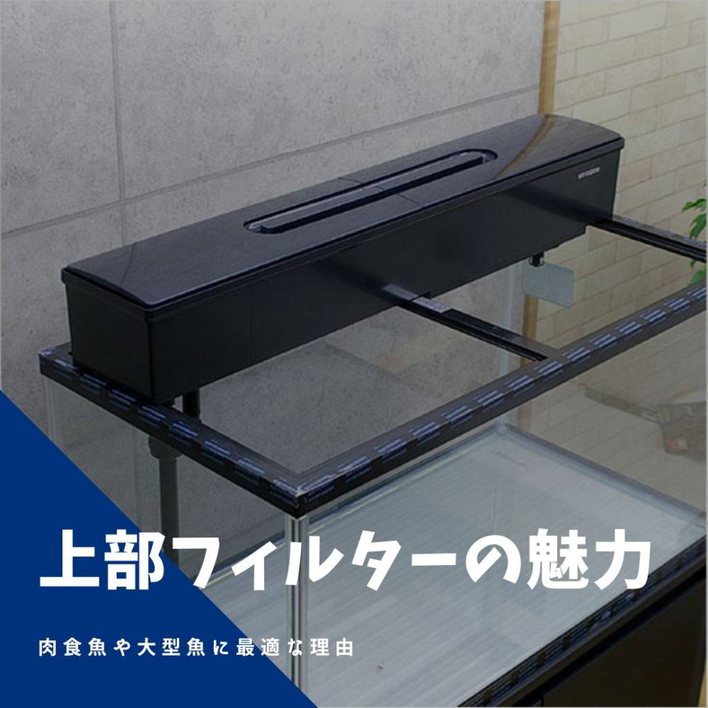 上部フィルターの魅力＜大型魚飼育に最適？＞ | AQUALASSIC