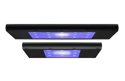 Hydra Edge – AquaIllumination