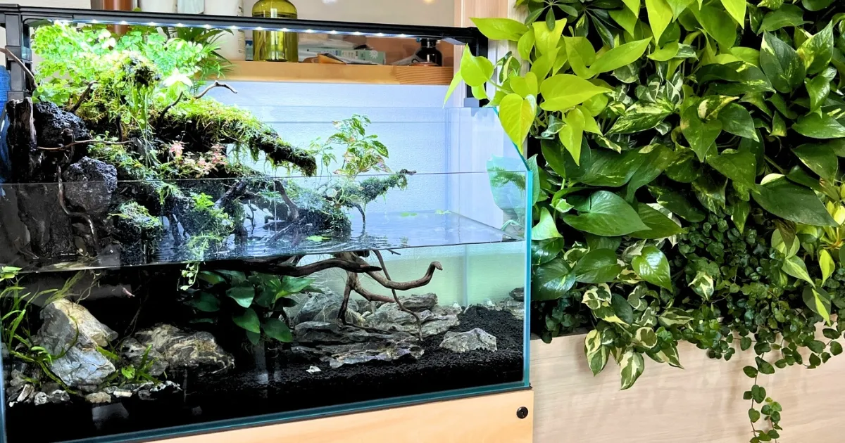 アクアテラリウム完全ガイド】初心者でもできる作り方・必要な機材