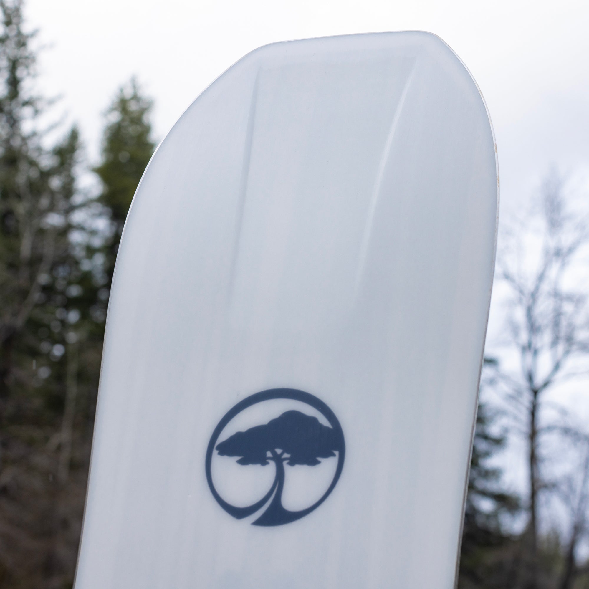 Arbor Snowboarding - Terra Pin Rocker – Arbor Collective