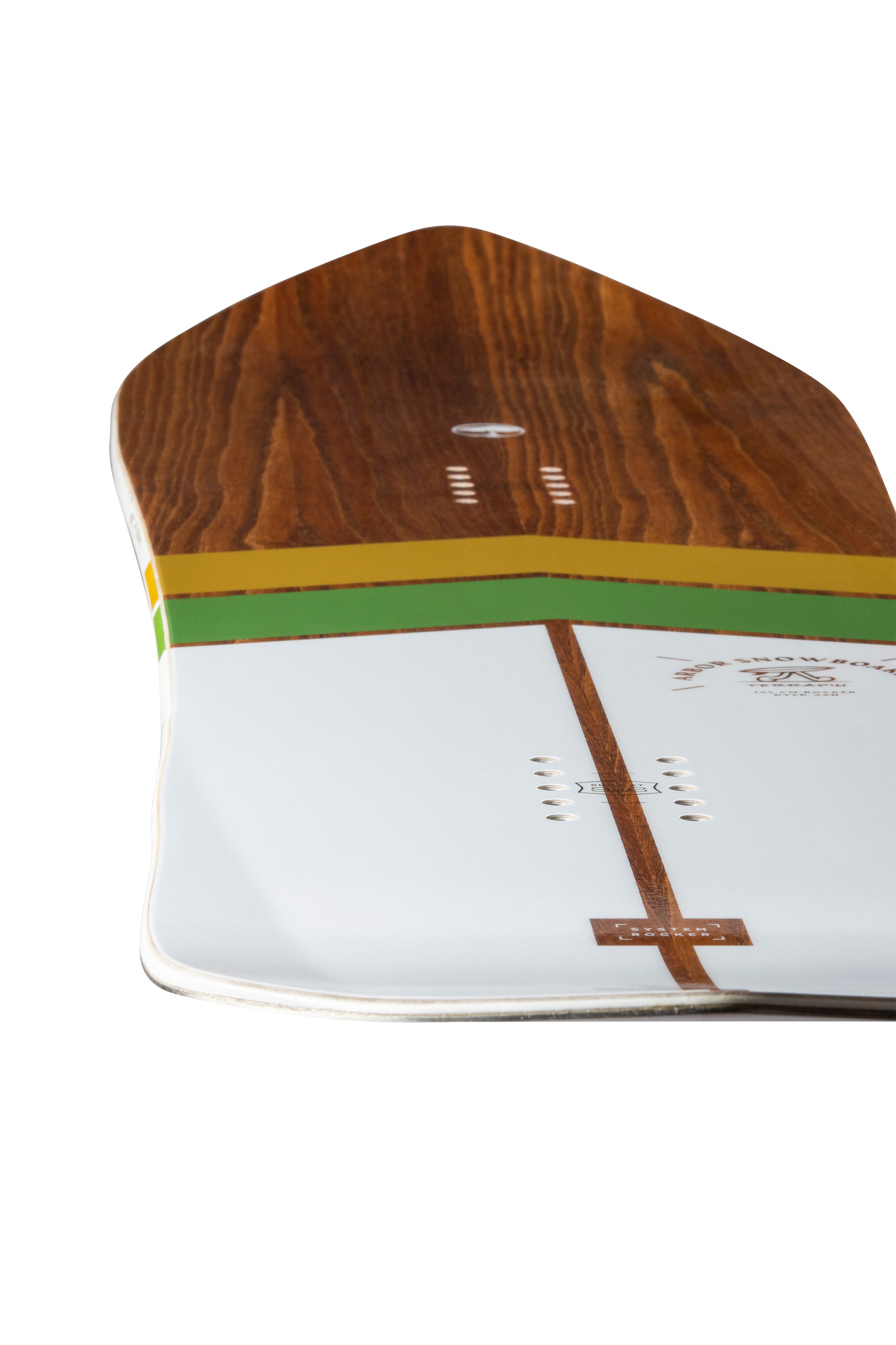 Terrapin – Arbor Collective