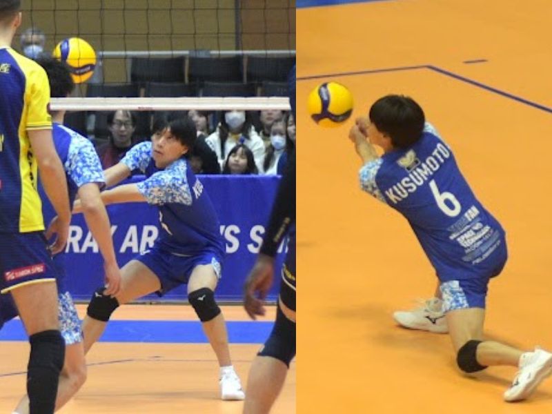 バレーボールSVリーグ＞東レアローズ静岡 177センチの楠本岳(天理大)に