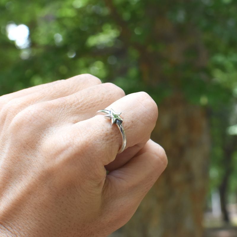 一粒の星 スター デザイン シルバー925 リング 指輪【cooldust