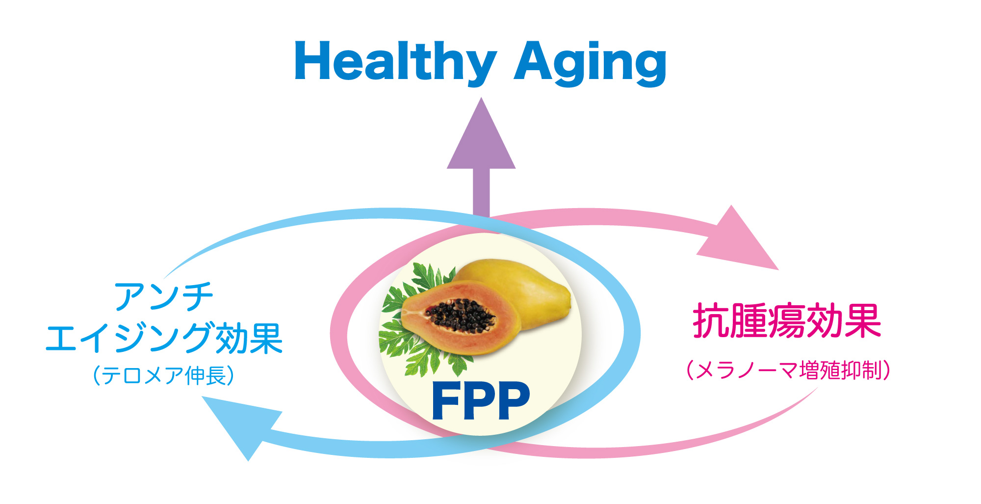 img_226816_1.jpg?w=384&format=webp