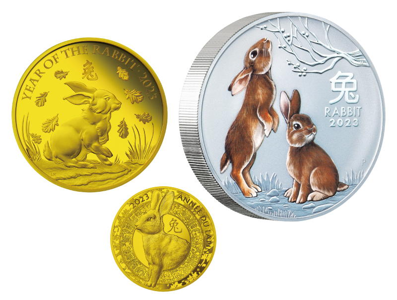 img_328374_1.jpg?w=384&format=webp