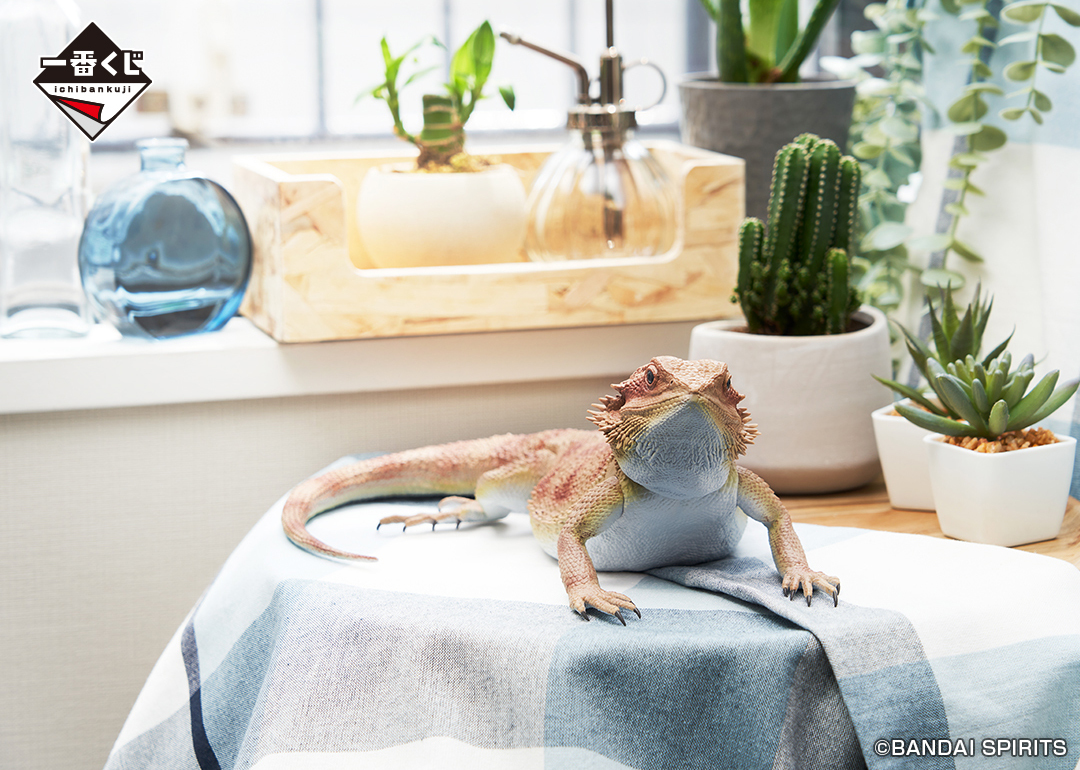 一番くじに「爬虫類＆両生類」が初登場！ 書店、ホビーショップ、一部