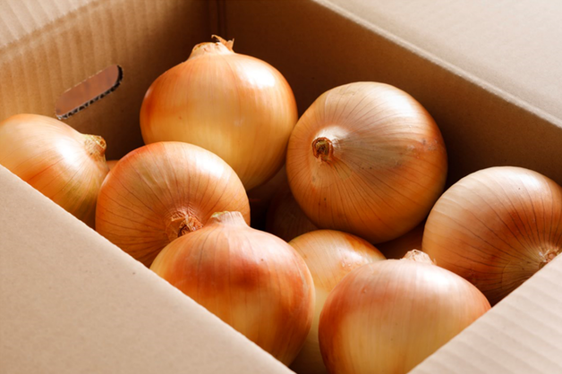 減農薬栽培 淡路島産たまねぎの通販ショップ｜淡路島 池上農場