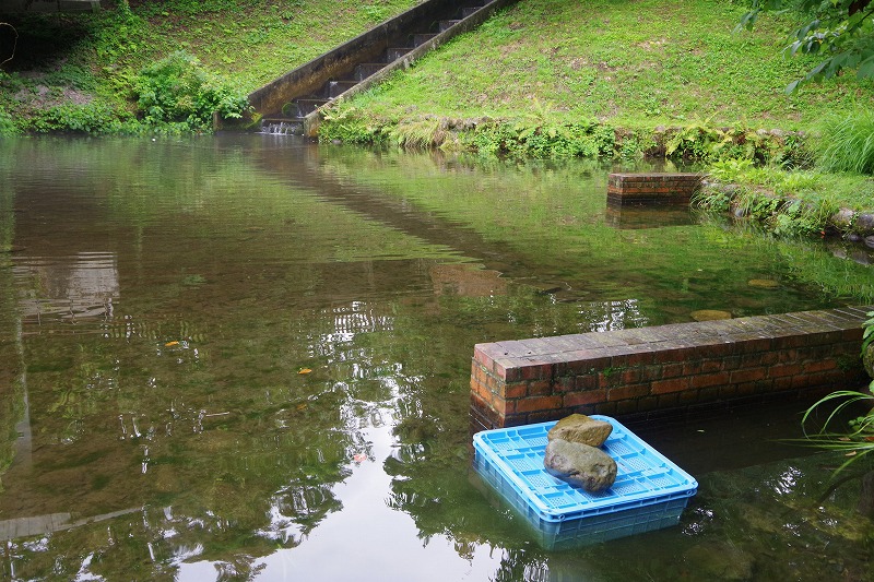 国営アルプスあづみの公園｜あづみのブログ