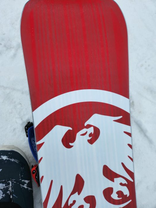 Never Summer Proto Synthesis 2025 Review - Board of the World