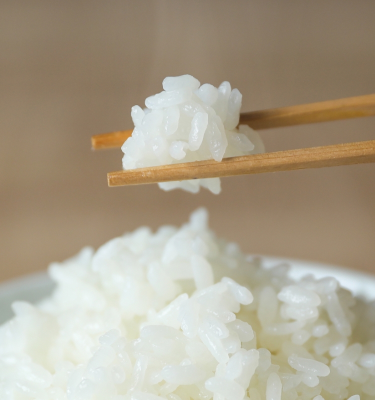 テクノロジーと味わい | BALMUDA The Gohan | BALMUDA（バルミューダ