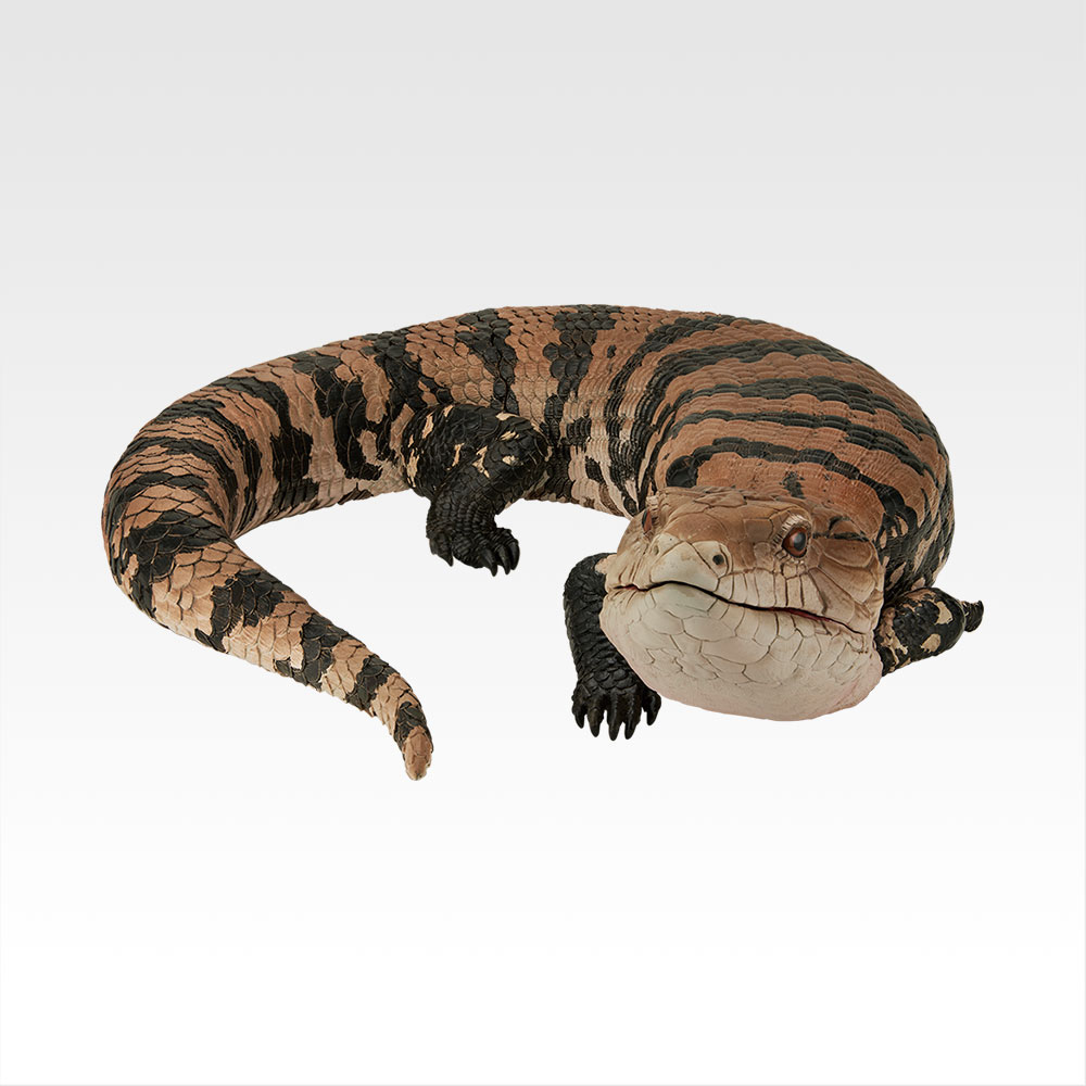 一番くじ 爬虫類＆両生類～Tiny Friends～vol.2│株式会社BANDAI