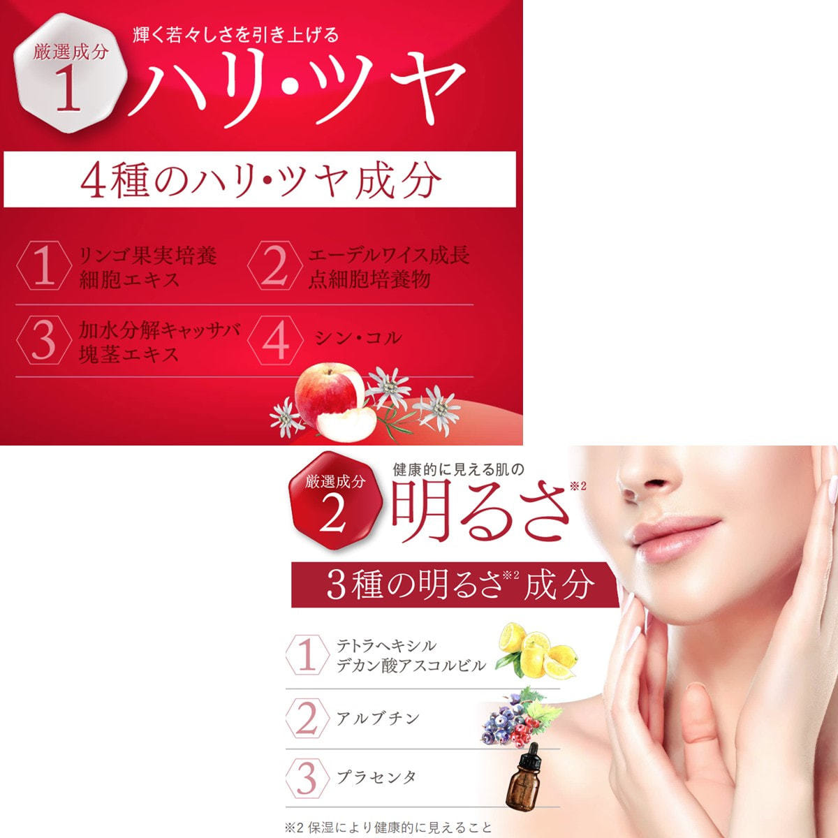 お試し用】エニシー ルフェルクリーム 30g の卸・通販 | ビューティ