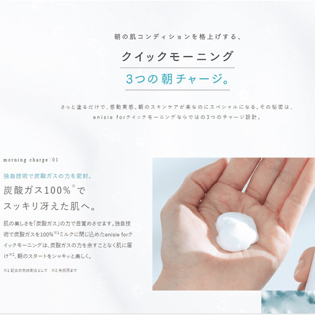 お試し用】エニシー フォー クイックモーニング 50gの卸・通販