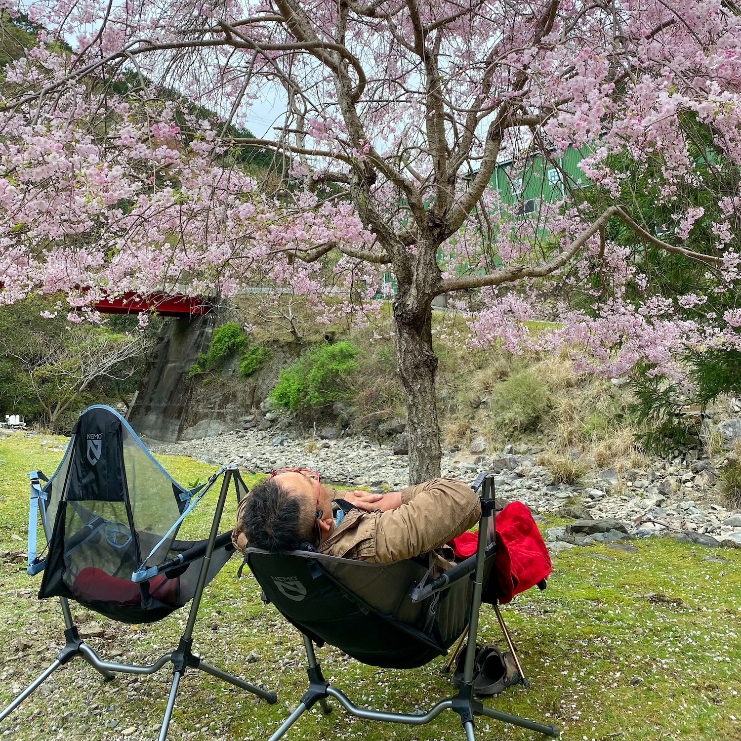 ゆったり＆ゆらゆら。「スターゲイズ リクライナー ラグジュアリー」が