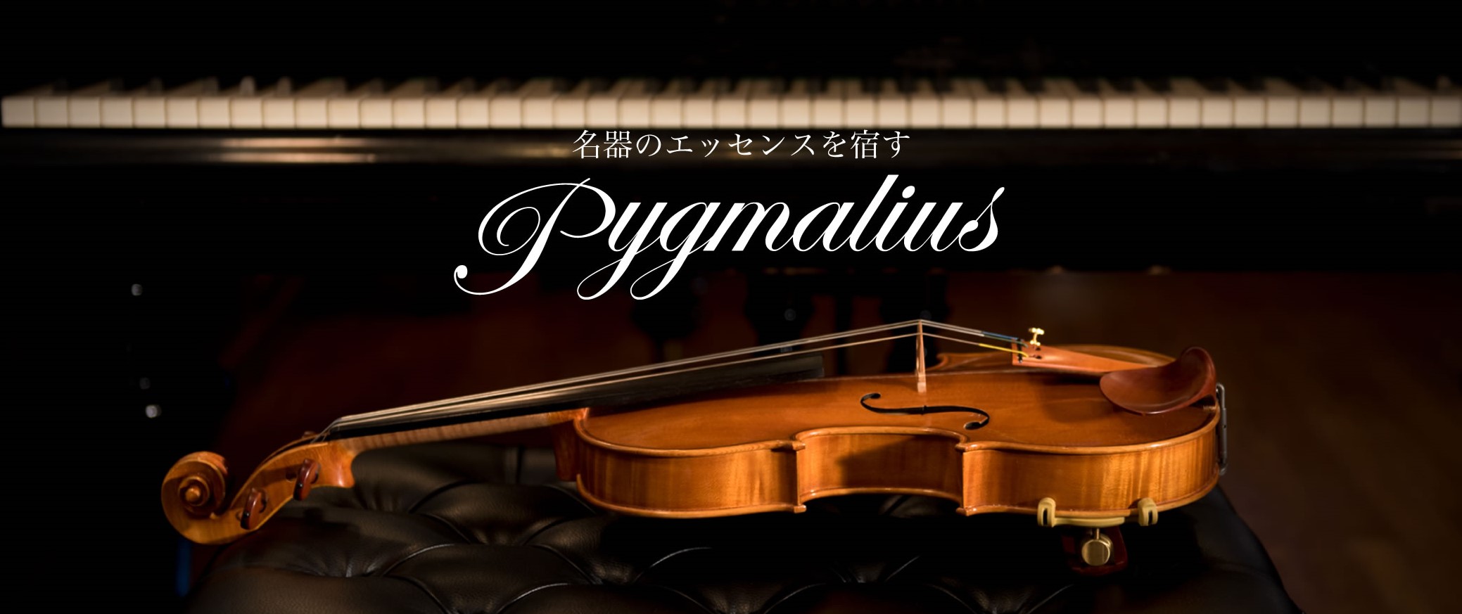 中古ピグマリウス ST-01 / 中古Pygmalius ST-01｜バイオリン専門店の